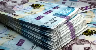 Товстенна пачка хрустких і запашних купюр